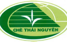 Logo Chè Thái Nguyên